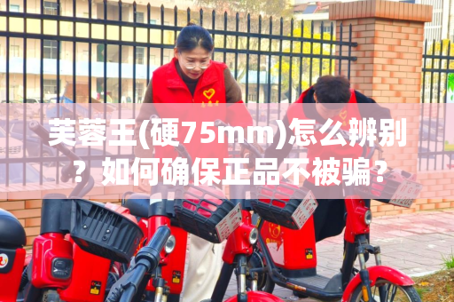芙蓉王(硬75mm)怎么辨别？如何确保正品不被骗？